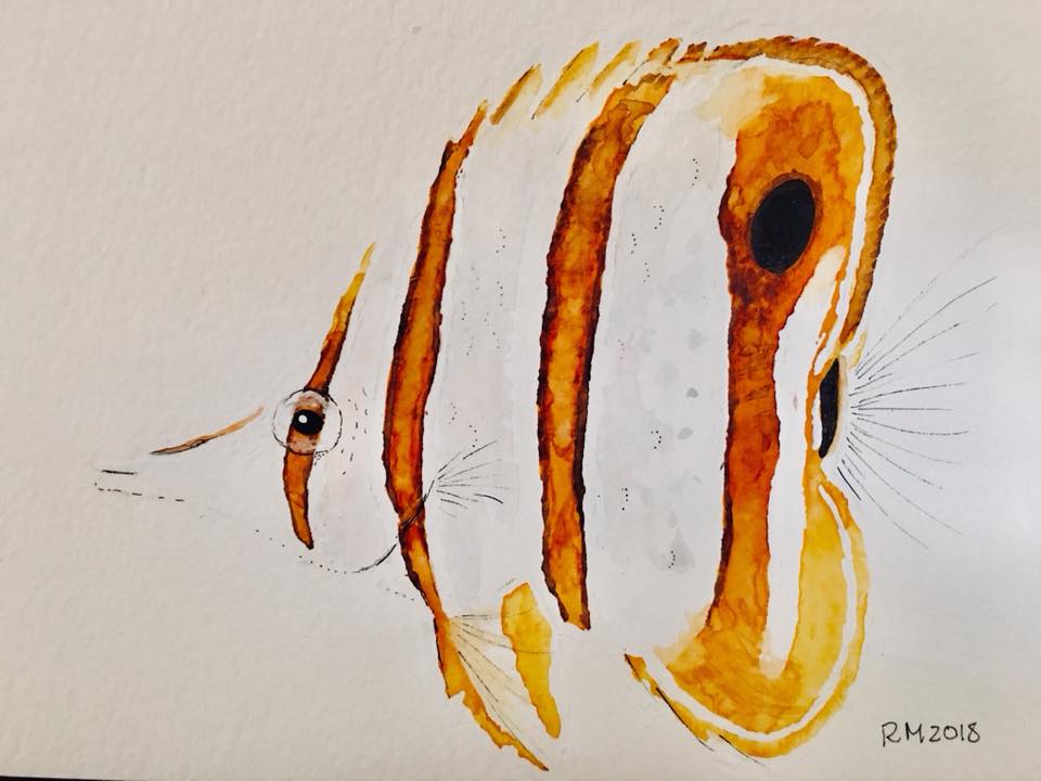 #SundayFishSketch: Butterflyfish