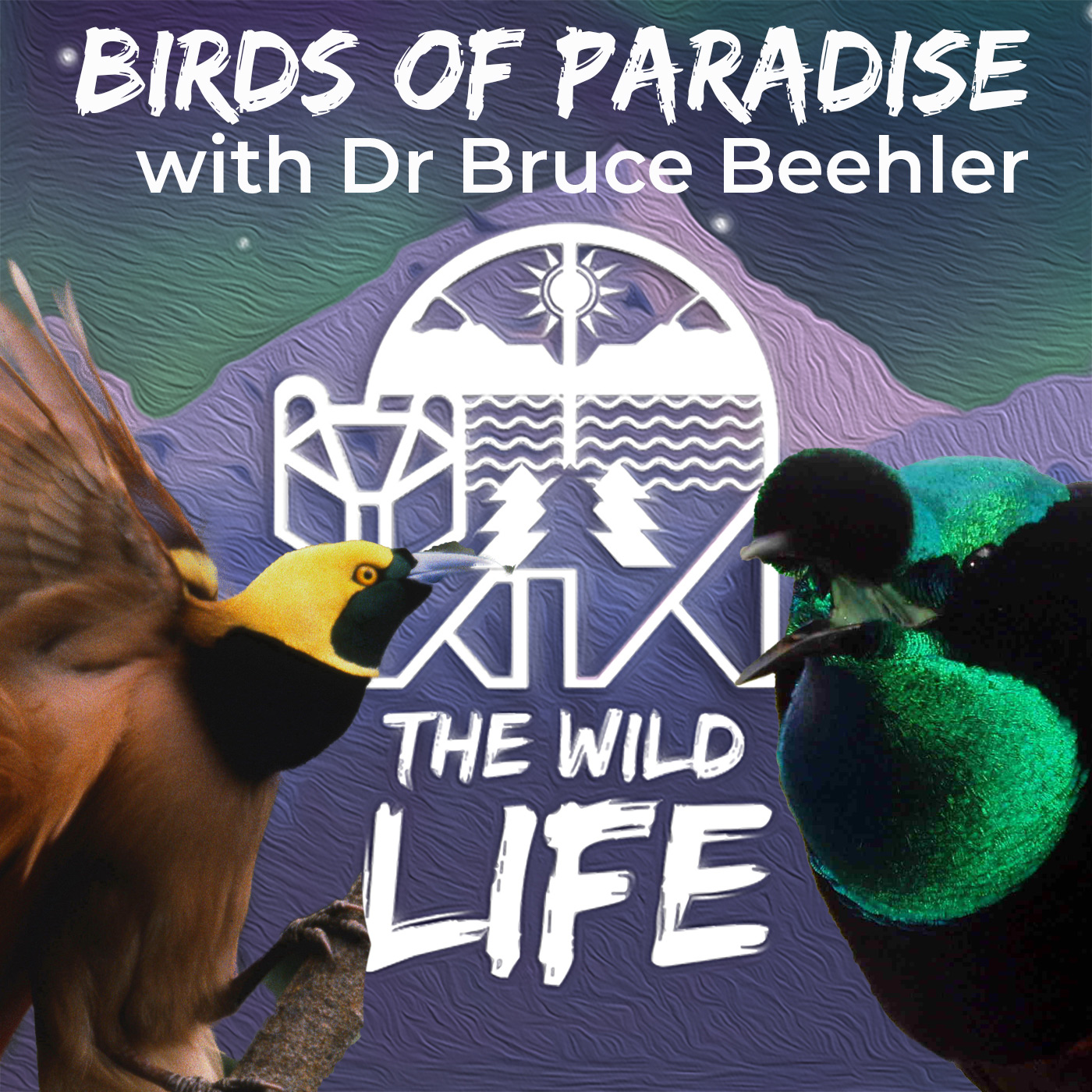 NEW EPISODE| The Birds of Paradise with Dr Bruce Beehler