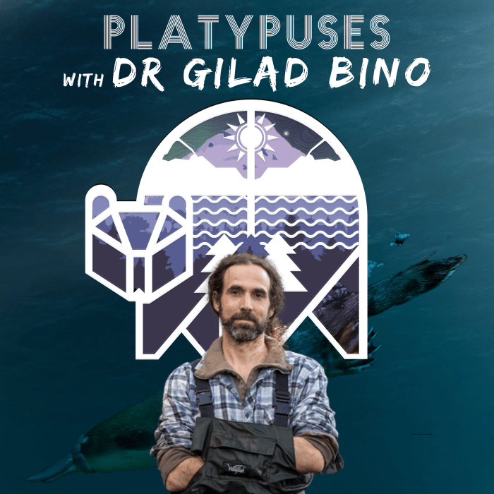 Dr Gilad Bino cover art