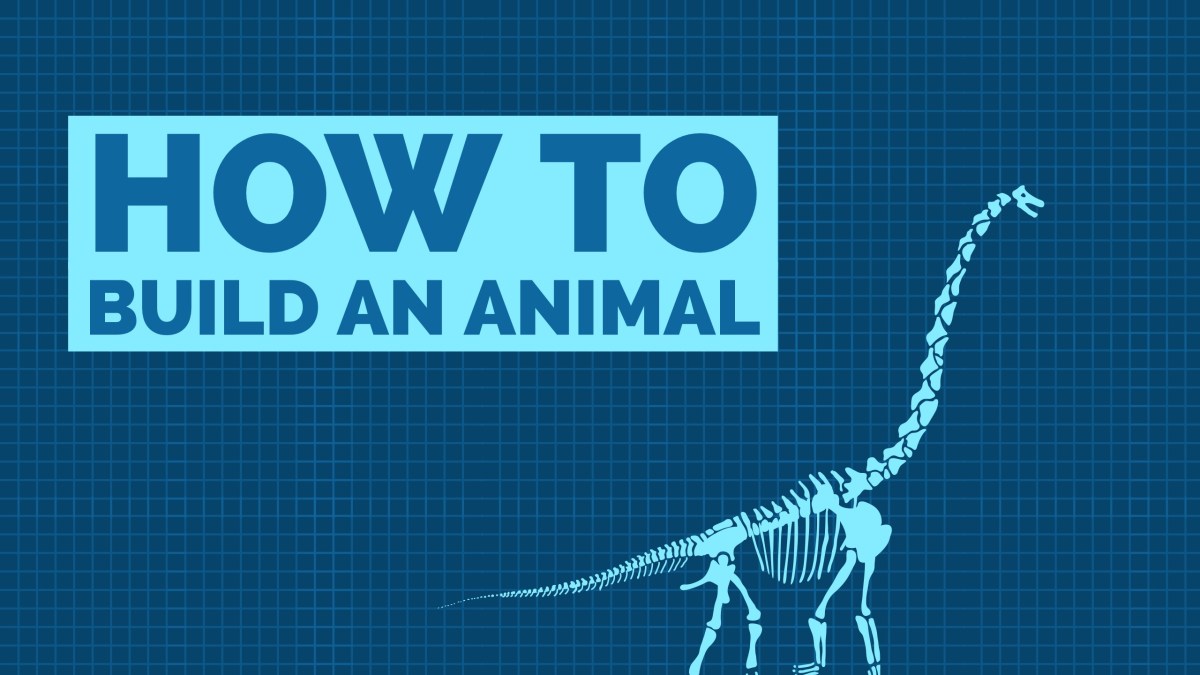 How to Build An Animal | Part Three
