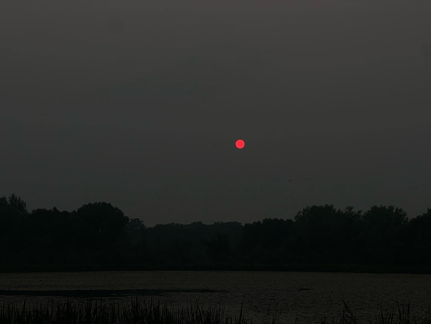 The Science Behind The Red Sun During Wildfires